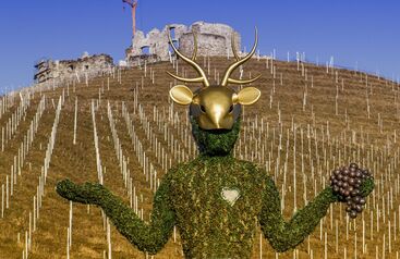 Weingut Burg Taggenbrunn 