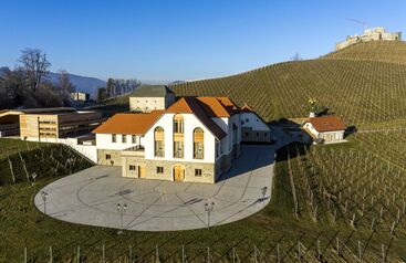 Weingut Burg Taggenbrunn