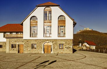 Weingut Burg Taggenbrunn 