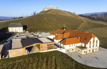 Weingut Burg Taggenbrunn 