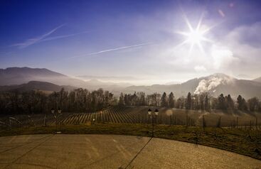 Weingut Burg Taggenbrunn 