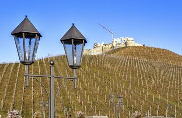 Weingut Burg Taggenbrunn 