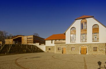 Weingut Burg Taggenbrunn 